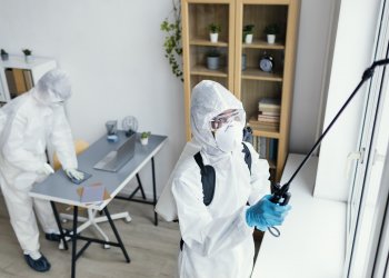 Hamam Böceği İlaçlama – İstanbul’da Etkili Çözümler ve Profesyonel Yaklaşımlar