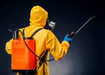 İstanbul’da Böcek İlaçlama Hizmeti Neden Önemlidir?