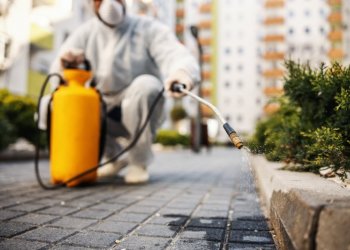 Esenyurt Böcek İlaçlama